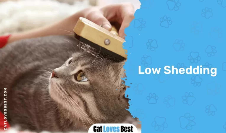 Low Shedding