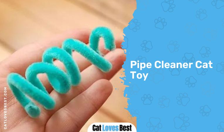 Pipe Cleaner Cat Toy