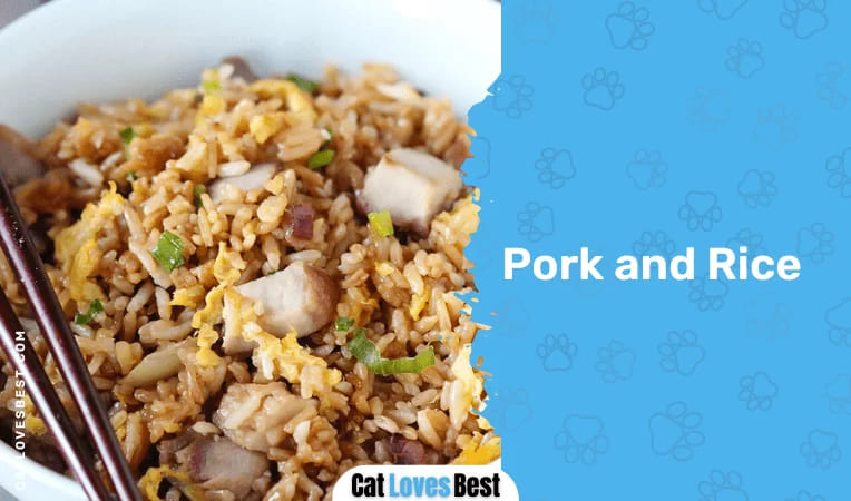  Pork and Rice