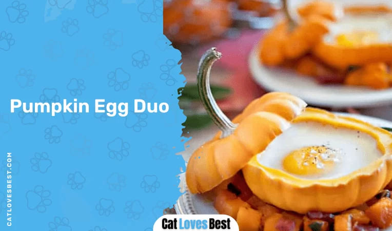 Pumpkin Egg Duo