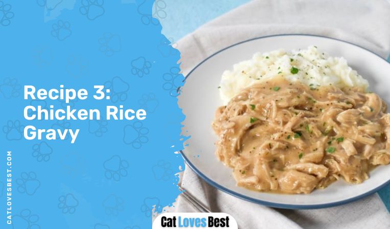Chicken Rice Gravy