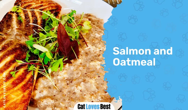 Salmon and Oatmeal