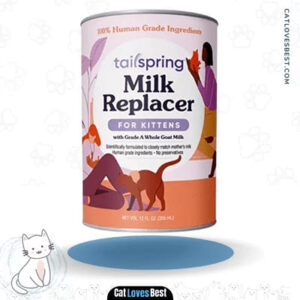 The 10 Best Kitten Milk Replacer of 2023 – Reviews & Top Picks