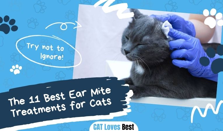 The 11 Best Ear Mite Treatments for Cats