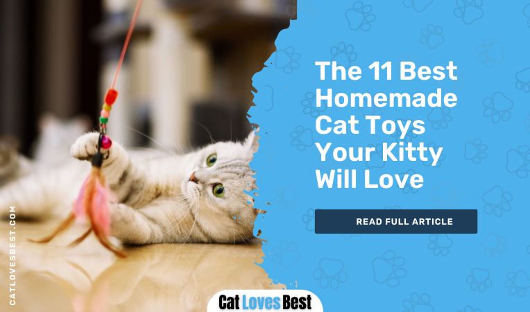 The 11 Best Homemade Cat Toys Your Kitty Will Love