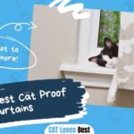 The 7 Best Cat Proof Curtains