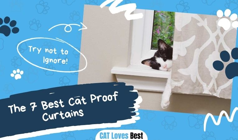 The 7 Best Cat Proof Curtains