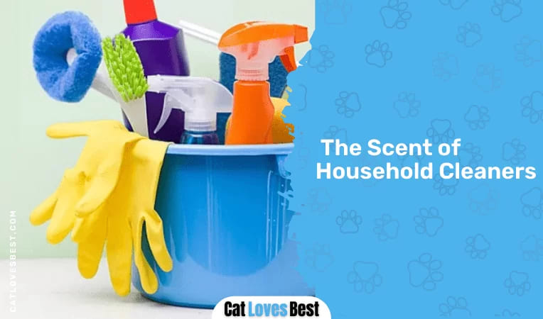 The Scent of Household Cleaners