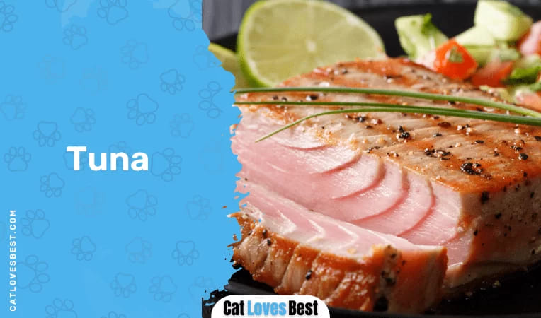 Tuna