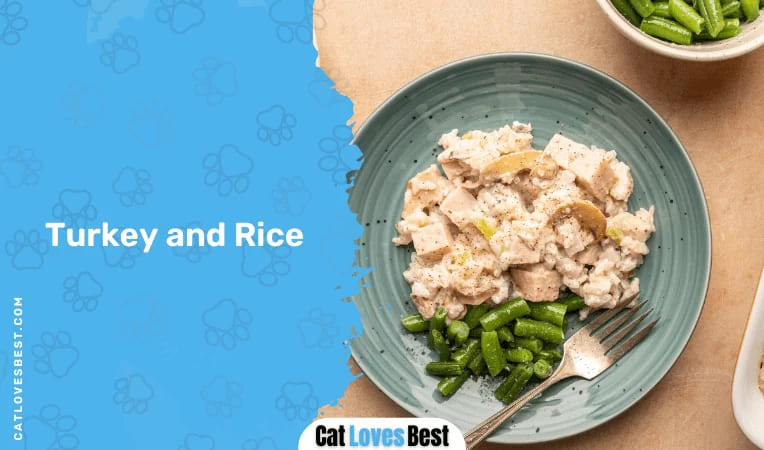 Turkey and Rice