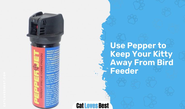 Use Pepper to Keep Your Kitty Away From Bird Feeder