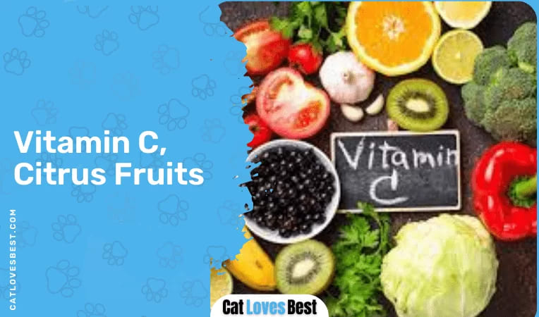 Vitamin C, Citrus Fruits