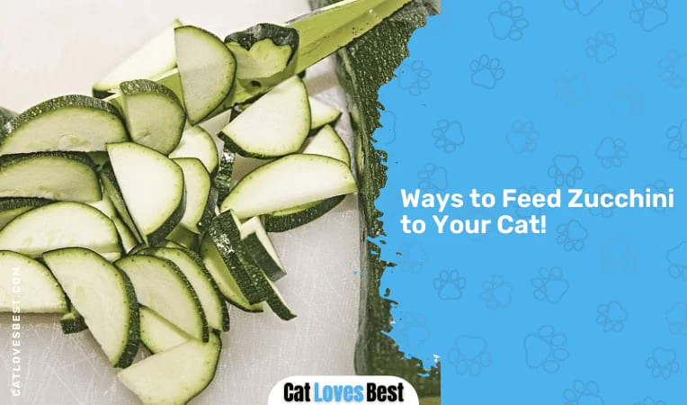 Ways to Feed Zucchini to Your Cat