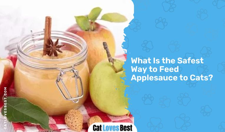 What Is the Safest Way to Feed Applesauce to Cats