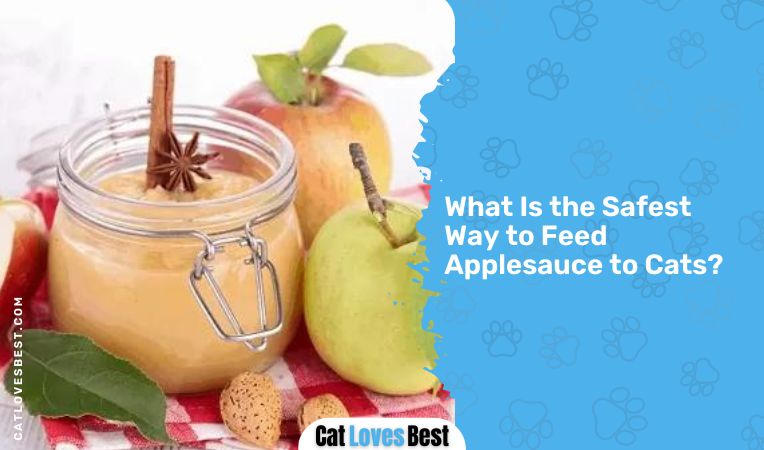 What Is the Safest Way to Feed Applesauce to Cats