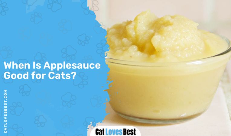When Is Applesauce Good for Cats