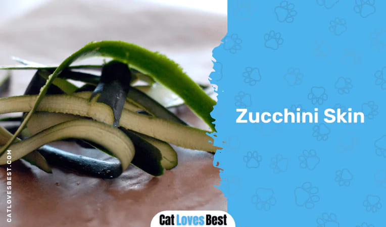 Zucchini Skin