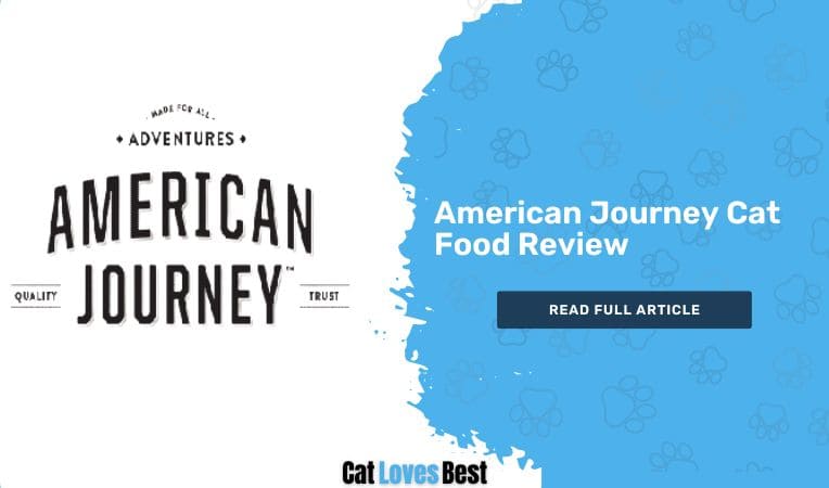 American Journey Cat Food Review