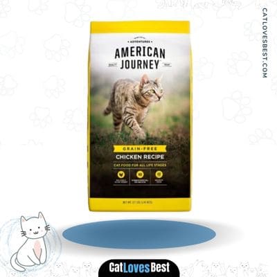 American Journey Chicken Recipe