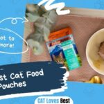 10 Best Cat Food Pouches