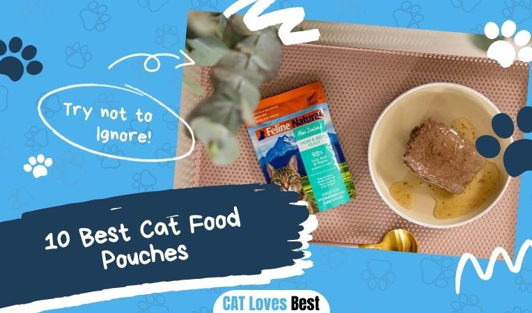 10 Best Cat Food Pouches