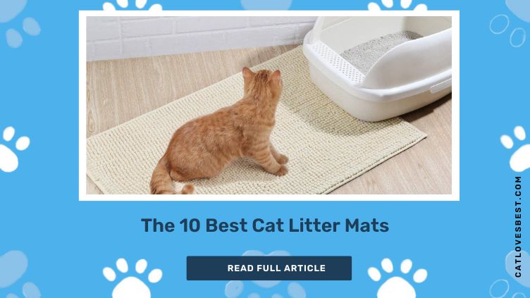 The 10 Best Cat Litter Mats