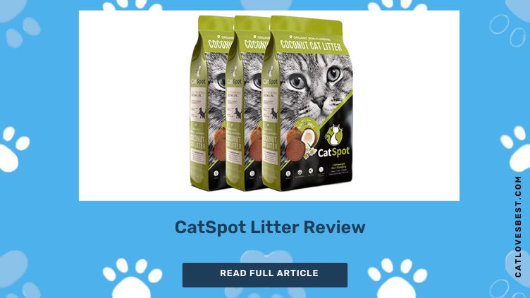 CatSpot Litter Review
