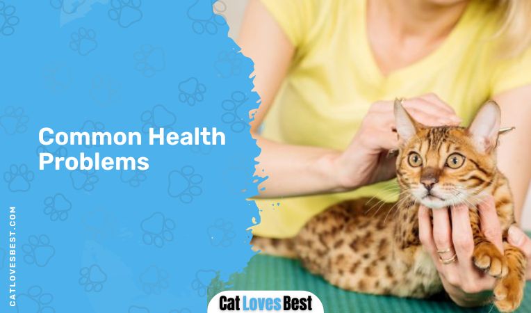 Common Health Problems