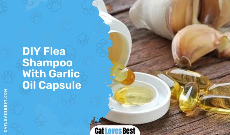 DIY Flea Shampoo With Garlic Oil Capsule