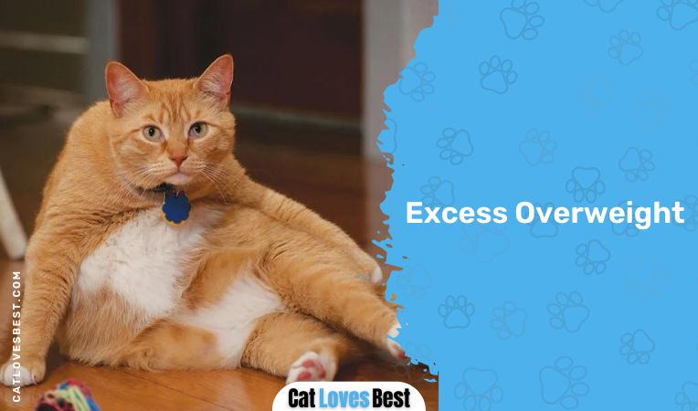 Excess Overweight
