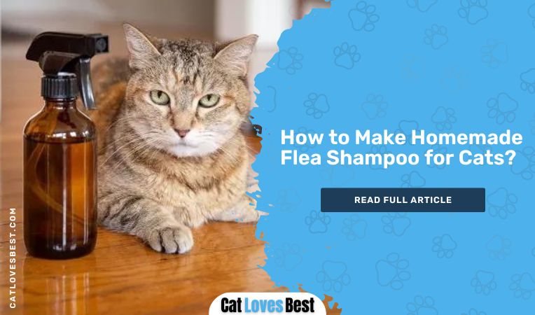 How to Make Homemade Flea Shampoo for Cats