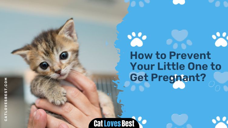 How to Prevent Your Little One to Get Pregnant