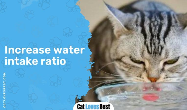 Increase water intake ratio