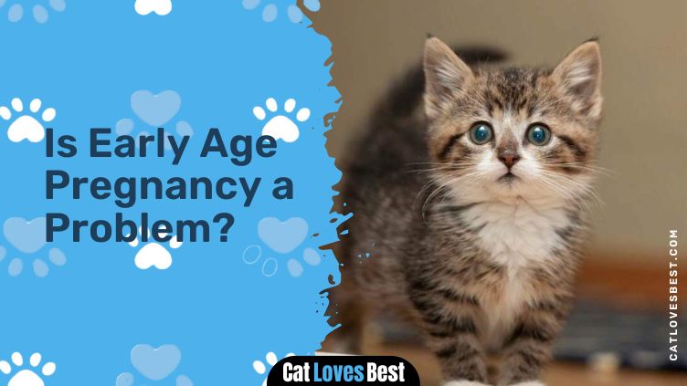 Is Early Age Pregnancy a Problem
