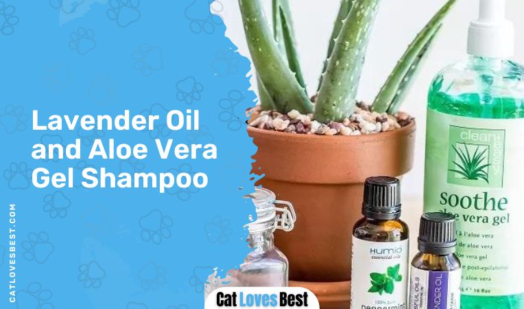 Lavender Oil and Aloe Vera Gel Shampoo