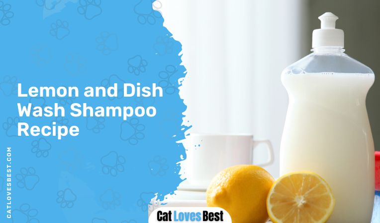 Lemon and Dish Wash Shampoo Recipe