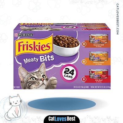 Purina Friskies Gravy Wet Cat Food Variety Pack