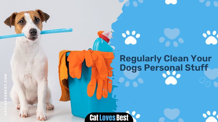 Regularly Clean Your Dogs Personal Stuff