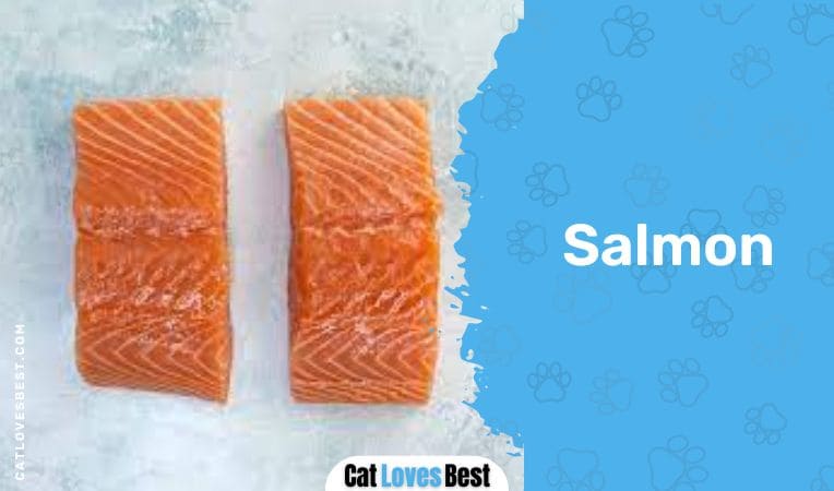 Salmon