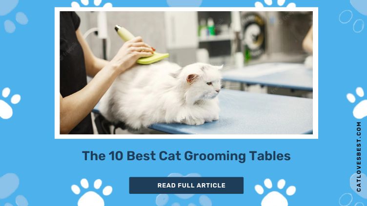 The 10 Best Cat Grooming Tables