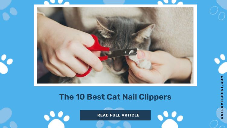 The 10 Best Cat Nail Clippers