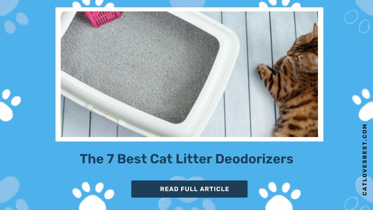 The 7 Best Cat Litter Deodorizers