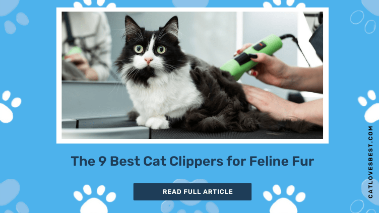 The 9 Best Cat Clippers for Feline Fur