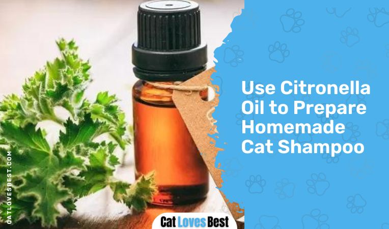 Use Citronella Oil to Prepare Homemade Cat Shampoo