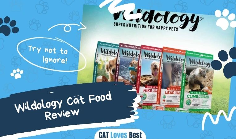 Wildology Cat Food Review 2022