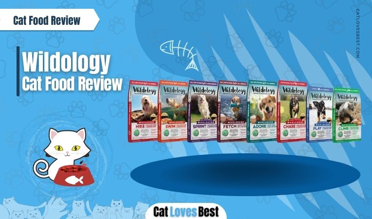 Wildology Cat Food Review