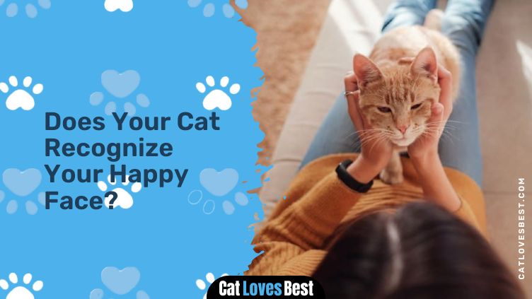 Does Your Cat Recognize Your Happy Face