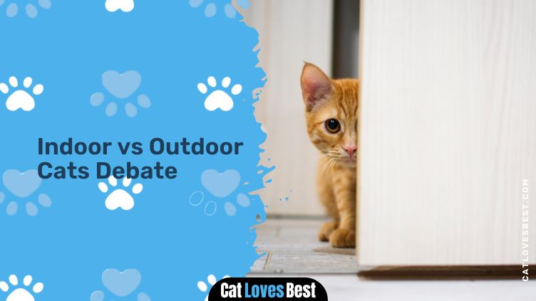 Indoor vs Outdoor Cats Debate