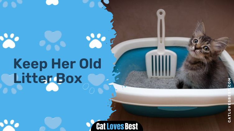 Keep Her Old Litter Box
