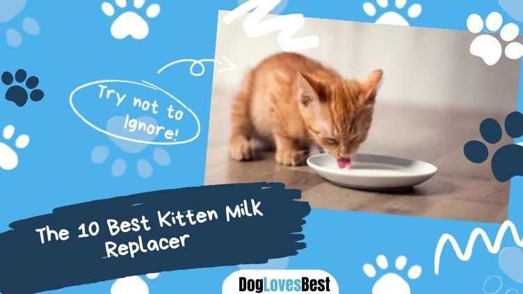 Best Kitten Milk Replacer
